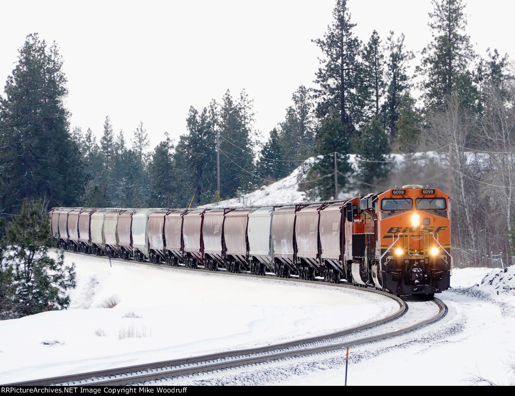 BNSF 6099